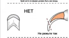 Kako skrbeti za mladiče